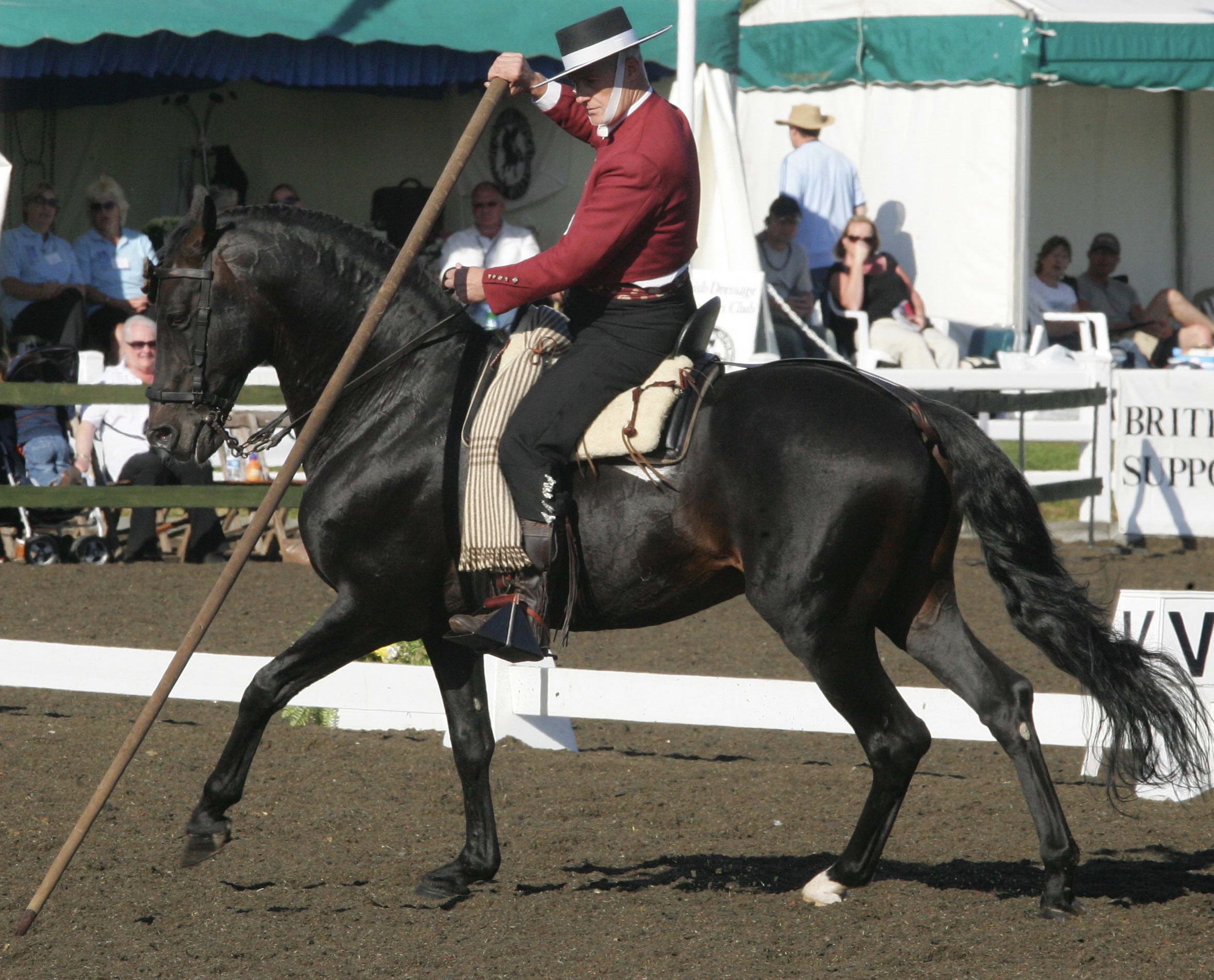 El Caballo De Espana